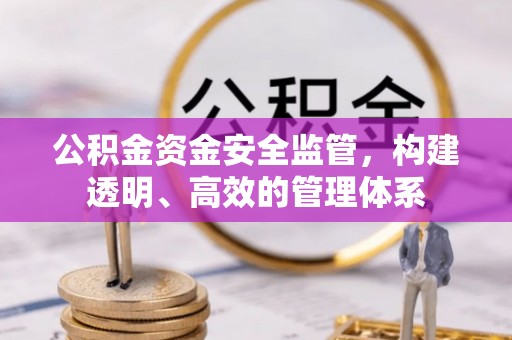 靖州公积金资金安全监管，构建透明、高效的管理体系